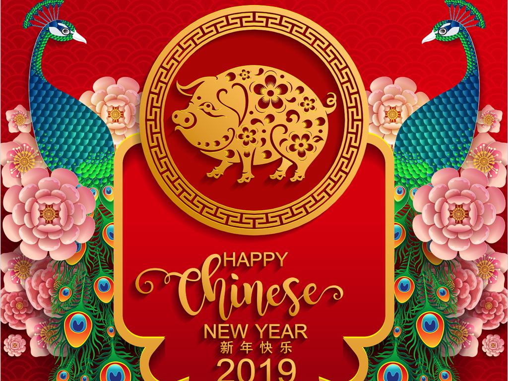 新的一年，还要马不停蹄，再接再厉，创出佳绩，2019  年，让我们事业再上新台阶，创造更辉煌的明天！